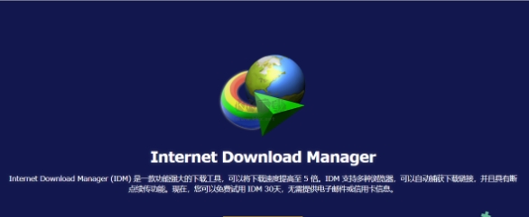 IDM视频下载